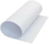 Imagen ilustrativa de PAPEL CARTULINA CAPITOLIO BLANCA -300- x20unid