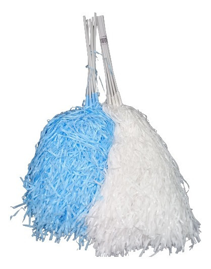 Imagen ilustrativa de PORRAS BLANCA/CELESTE xPAR